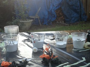 "Bubble, Bubble, Toil, and Trouble!"  Yes - I did think of that myself!!!  Haha, but I stole the idea of potion making using vinegar and baking soda from the internet!